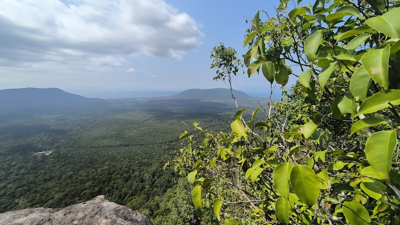 Into the Heart of Nature at Phu Quoc National Park - Phu Quoc National Park