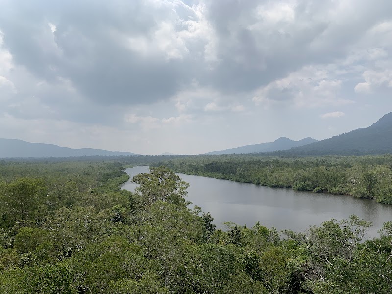 Into the Heart of Nature at Phu Quoc National Park - Phu Quoc National Park
