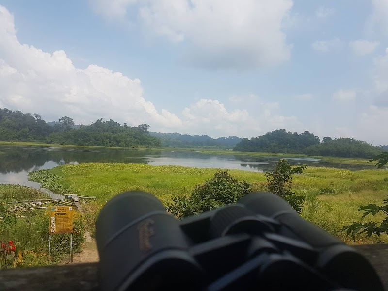 Explore the Wonders of Cat Tien National Park - Cat Tien National Park