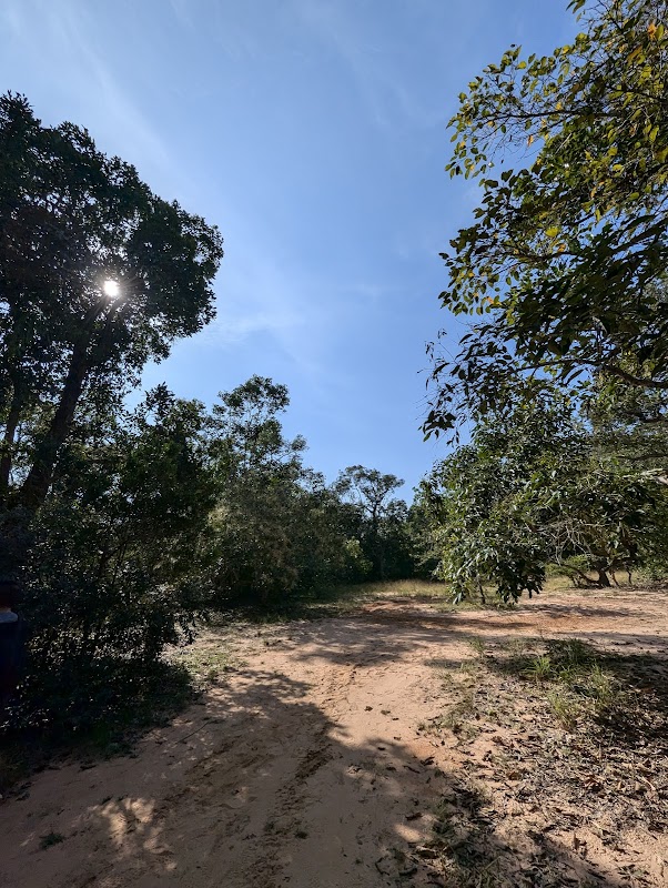 Discover the Wonders of Phuoc Buu Nature Reserve - Phuoc Buu Nature Reserve