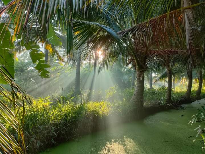 Vietnam's Green Haven: Bến Tre - Bến Tre