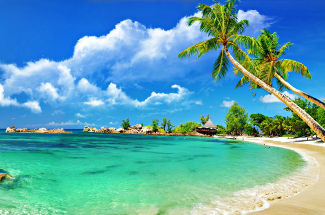 Sun-Kissed Shores of Bình Thuận - Bình Thuận