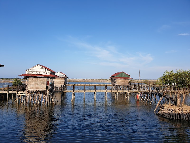 Serene Waters of Tam Giang Lagoon - Tam Giang Lagoon