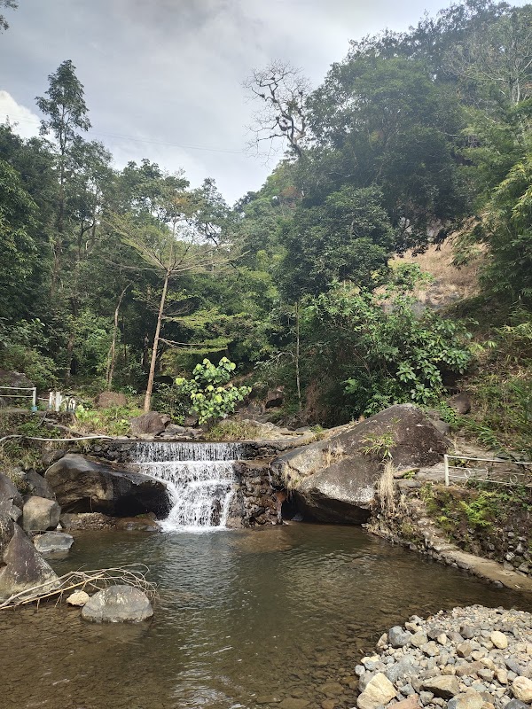 Natural Wonders of Lam Dong - Lam Dong