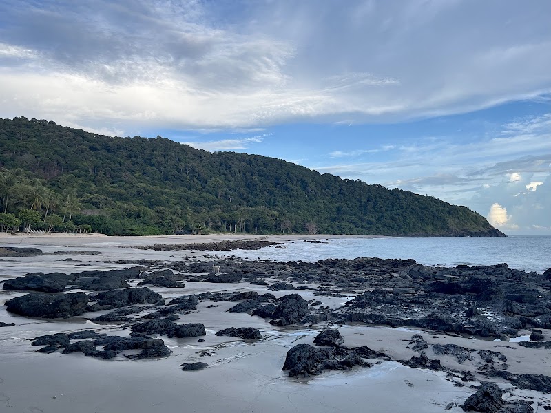 Tranquil Sands of Bamboo Beach - Bamboo Beach