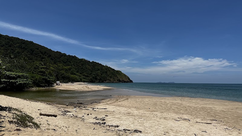 Tranquil Sands of Bamboo Beach - Bamboo Beach