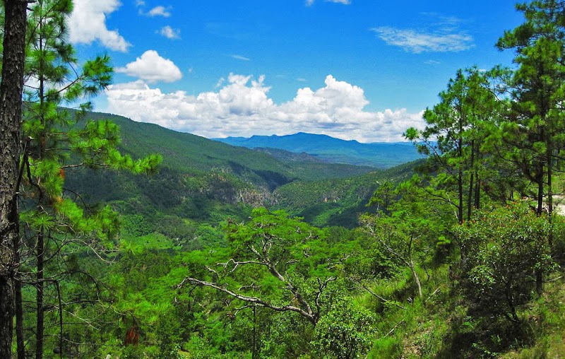 Discover the Wonders of Parque Nacional Sierra de Agalta - Parque Nacional Sierra de Agalta