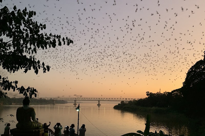 Mesmerizing Bats of Hpa-An's Bat Cave