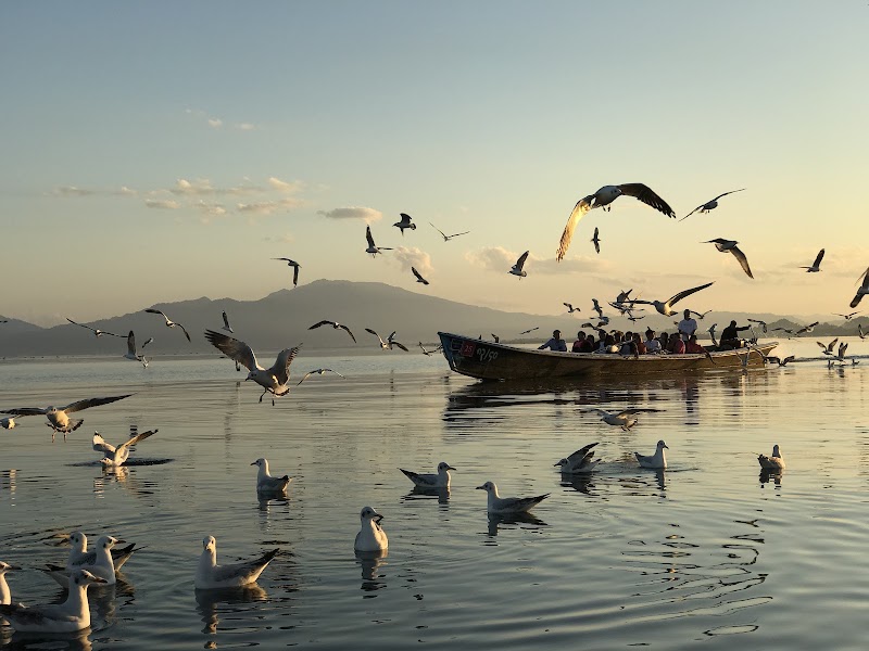 Tranquil Escapes: Indawgyi Lake - Indawgyi Lake