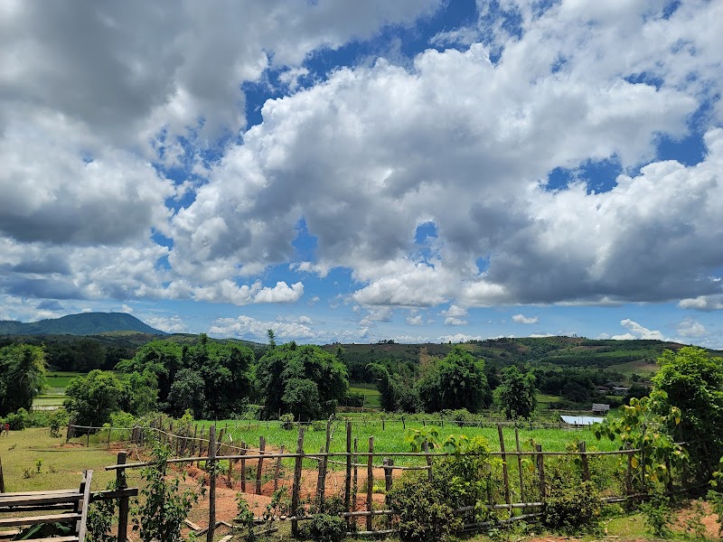 Mysterious Plain of Jars in Xieng Khouang - Plain of Jars Site 3