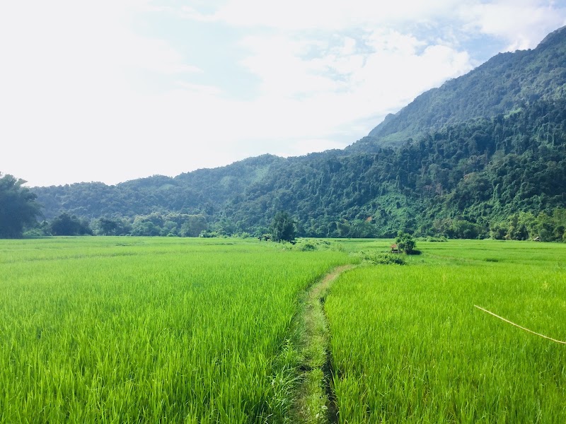 Discover the Enchanting Beauty of Muang Ngoy - Muang Ngoy