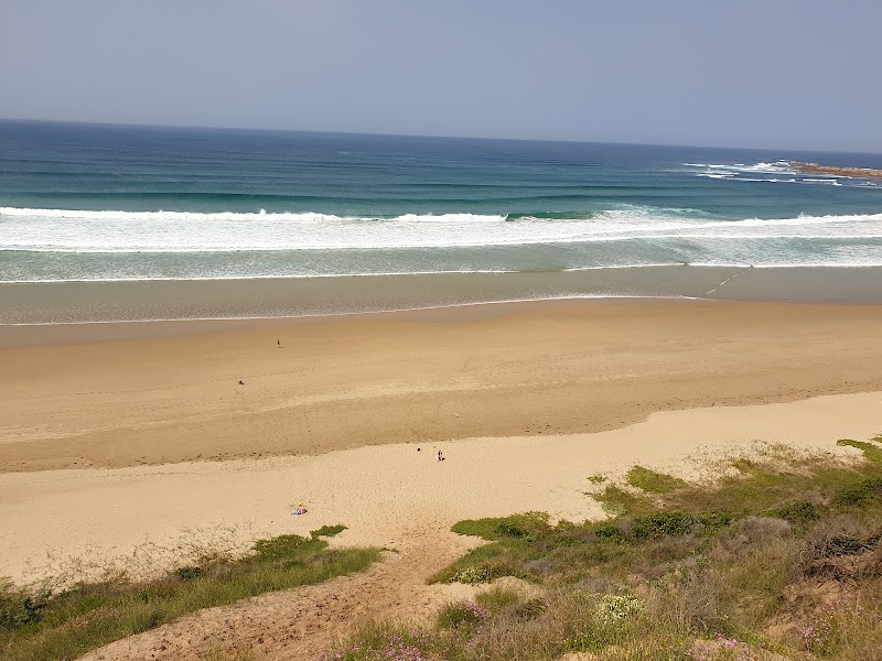 Sunlit Shores of Buffalo Bay Beach - Buffalo Bay Beach