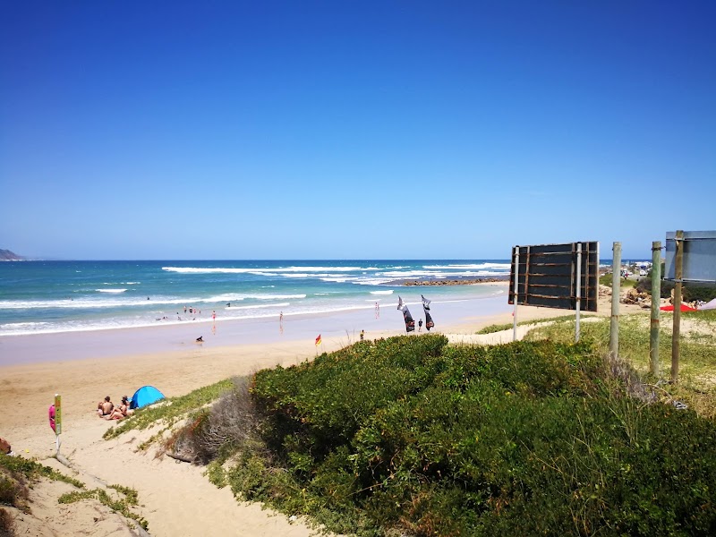 Sunlit Shores of Buffalo Bay Beach - Buffalo Bay Beach