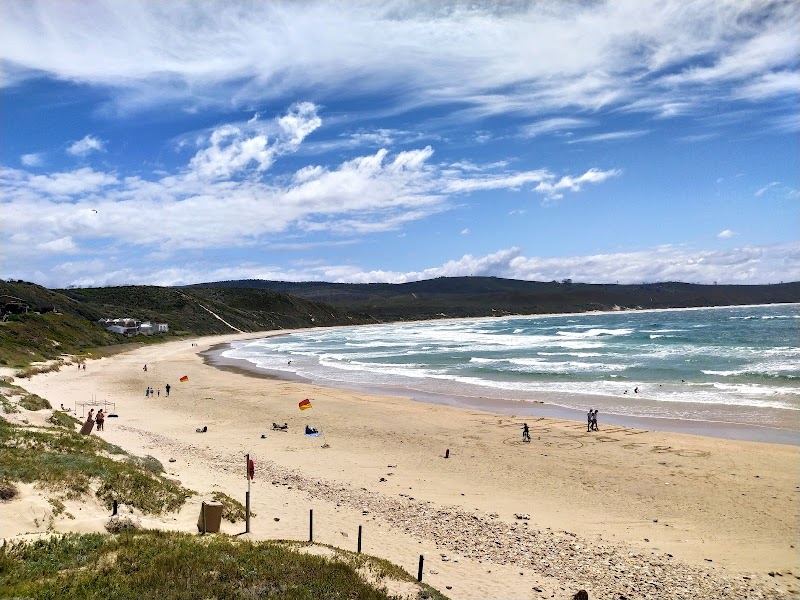 Sunlit Shores of Buffalo Bay Beach - Buffalo Bay Beach