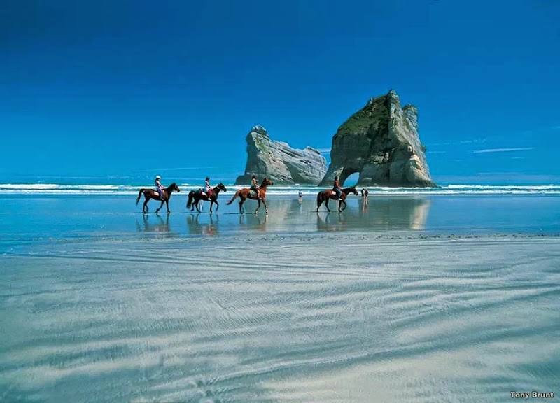 Discover Paradise at Kahurangi National Park - Kahurangi National Park