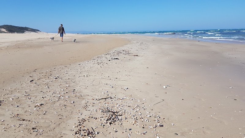 Serene Shores of Aston Bay Beach - Aston Bay Beach
