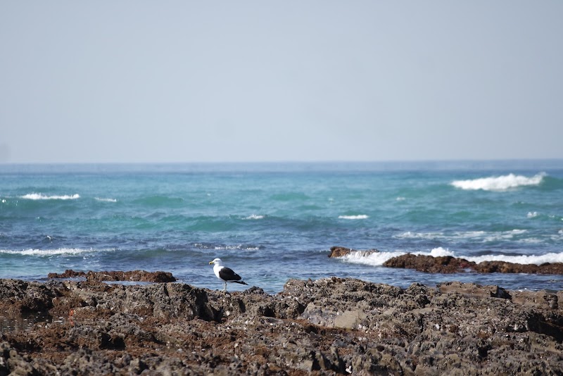 Serene Shores of Aston Bay Beach - Aston Bay Beach