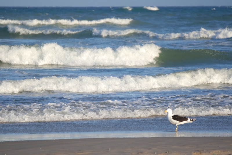 Serene Shores of Aston Bay Beach - Aston Bay Beach