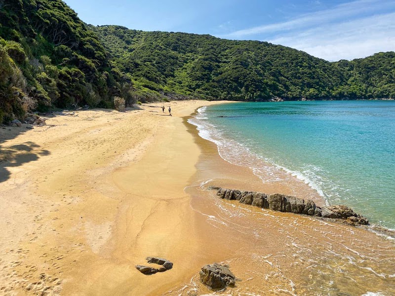 Coastal Wonders of Abel Tasman National Park - Abel Tasman National Park