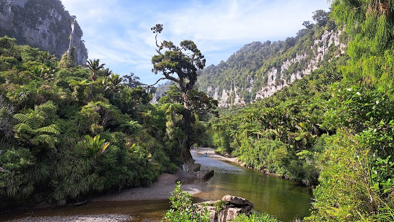 Majestic Coastal Cliffs of Paparoa National Park - Paparoa National Park