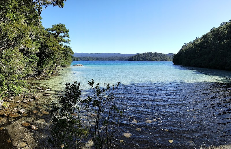 Nature's Wonderland: Te Urewera outdoor detail