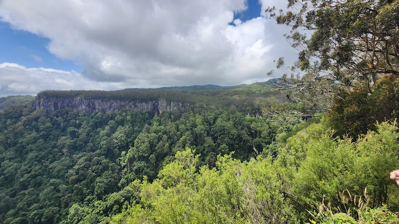 Natural Wonder: Springbrook National Park surrounding landscape