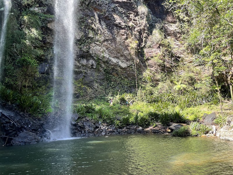 Natural Wonder: Springbrook National Park - Springbrook National Park