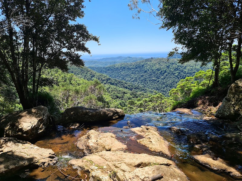 Natural Wonder: Springbrook National Park - Springbrook National Park