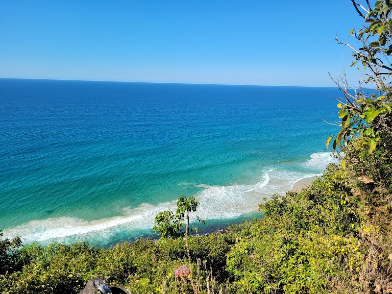 Coastal Bliss at Burleigh Head National Park - Burleigh Head National Park