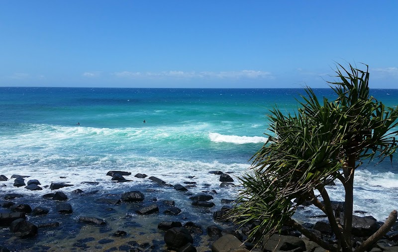 Coastal Bliss at Burleigh Head National Park - Burleigh Head National Park