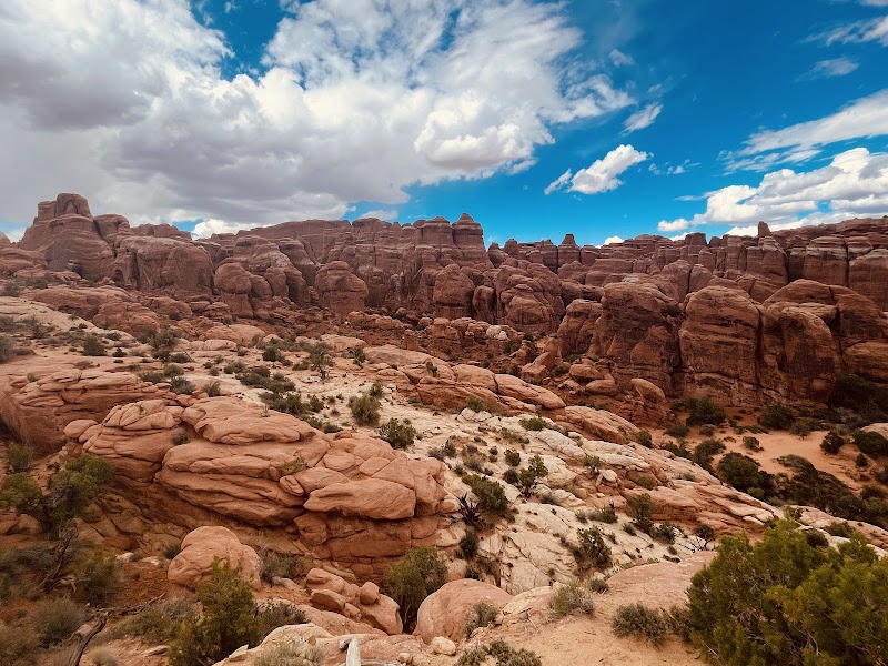 Natural Wonders & Arches National Park outdoor detail