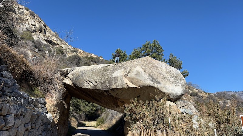 Giant Wonders of Sequoia National Park surrounding landscape
