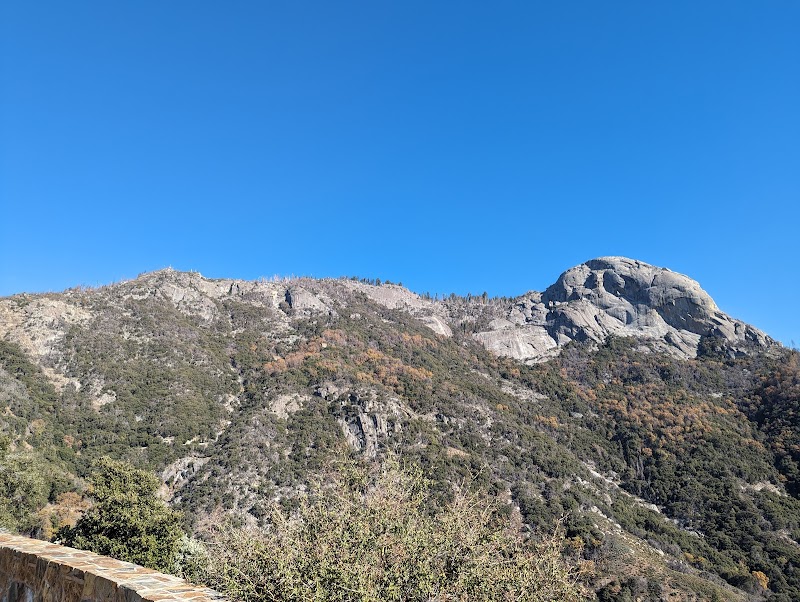 Giant Wonders of Sequoia National Park outdoor detail