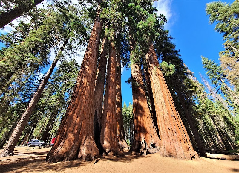 The Wonders of Sequoia & Kings Canyon National Parks outdoor detail