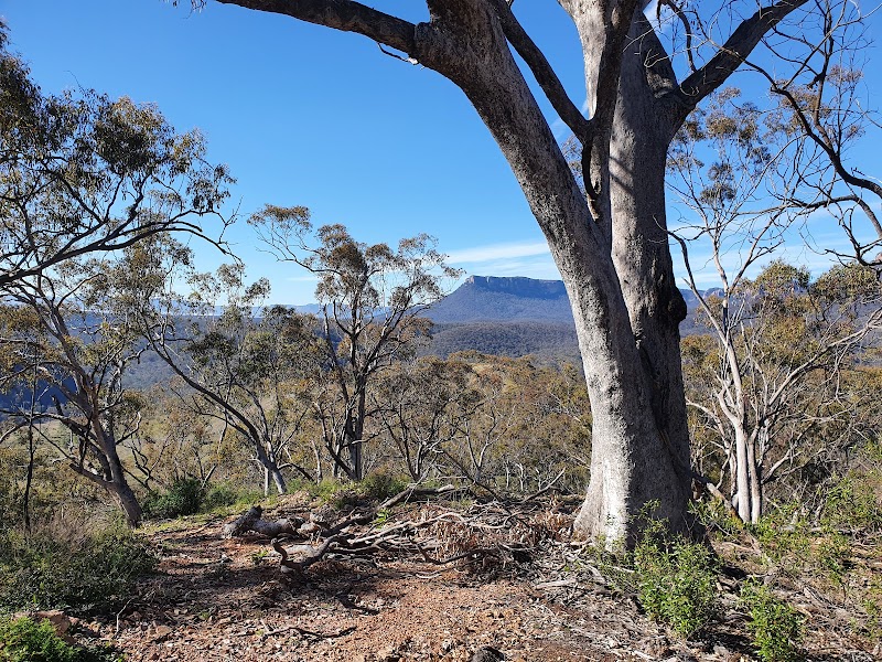 Majestic Landscapes of Capertee National Park - Capertee National Park