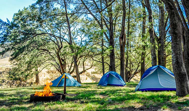 Camping in Capertee Campground - Capertee Campground