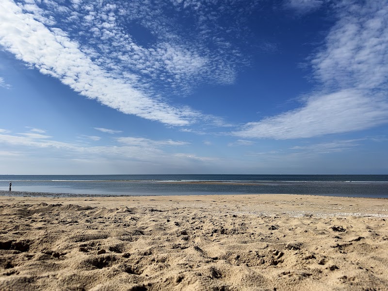 Discover the Vast Sands of Maasvlaktestrand surrounding landscape