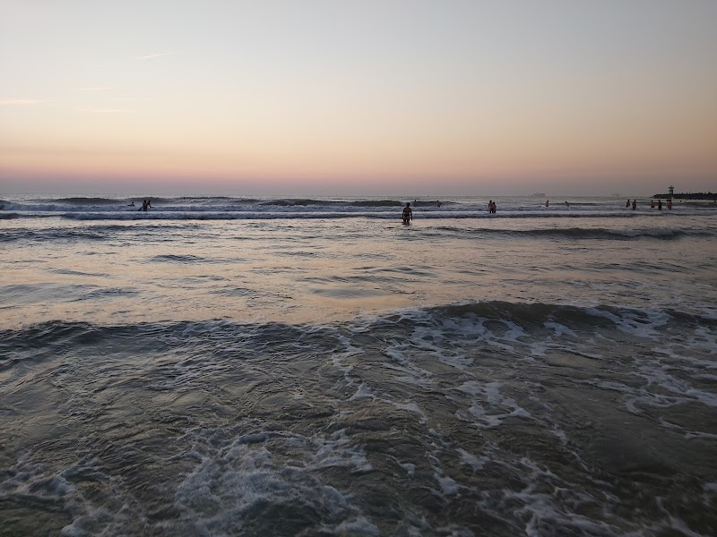 A Tranquil Escape at Southern Beach The Hague surrounding landscape