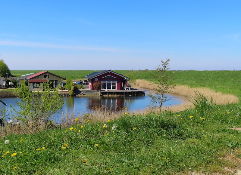 Seaside Serenity: Beach Sint-Annaland surrounding landscape