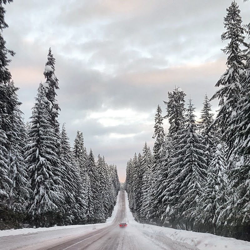 Nature's Wonder at Willamette National Forest - Willamette National Forest