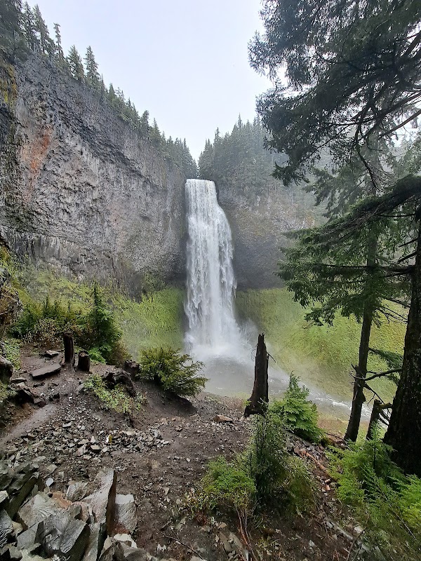 Nature's Wonder at Willamette National Forest - Willamette National Forest