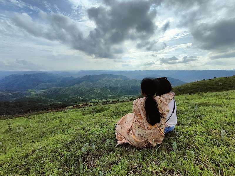 Dommurok View Point: Nature's Canvas in Markham Village - Dommurok View Point, Markham Village
