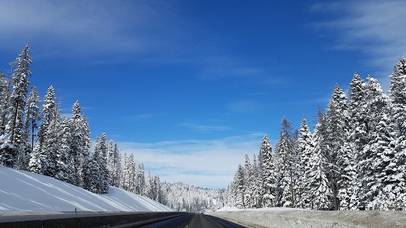 Nature's Beauty: Umatilla National Forest surrounding landscape
