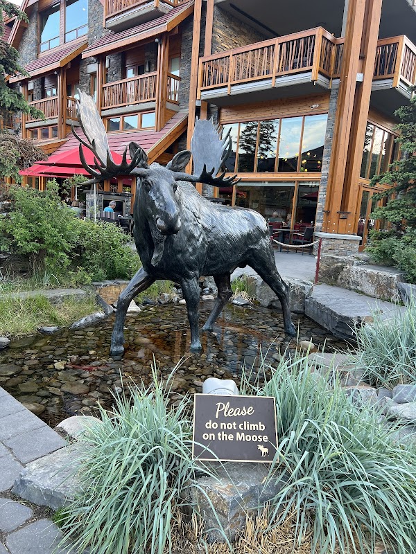 Majestic Wonders of Banff - Banff