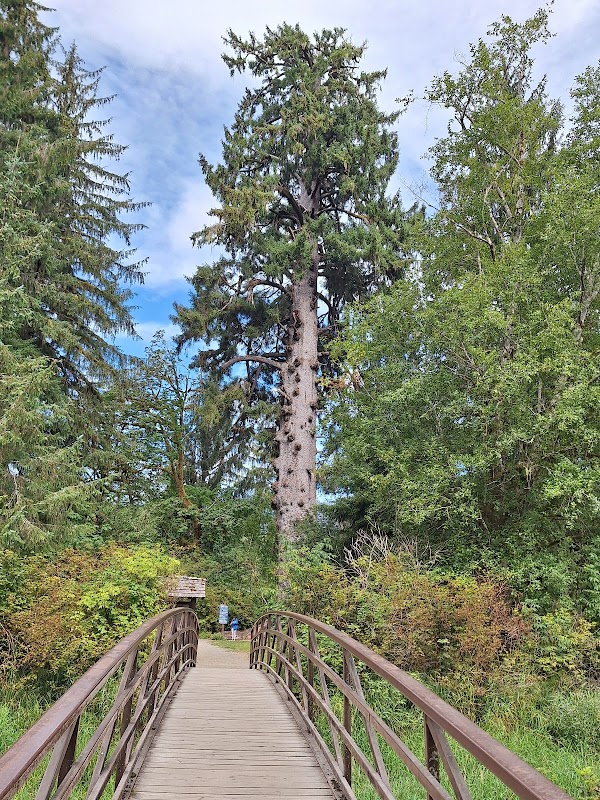 Discover the Wonders of Olympic National Forest - Olympic National Forest