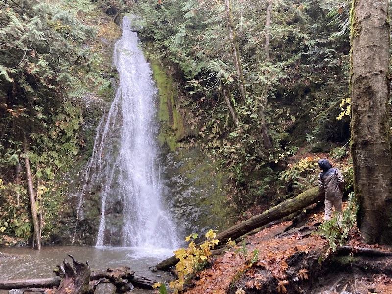 Discover the Wonders of Olympic National Forest - Olympic National Forest
