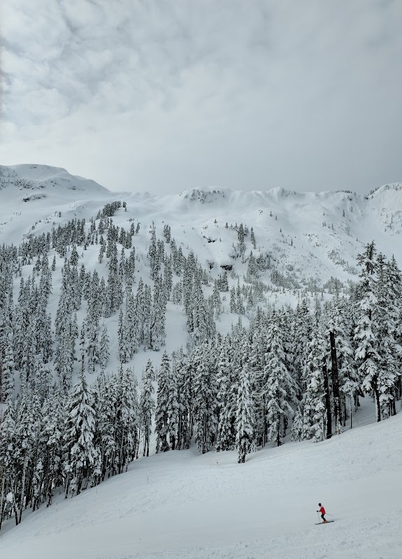 Nature's Masterpiece: Mt. Baker-Snoqualmie National Forest outdoor detail