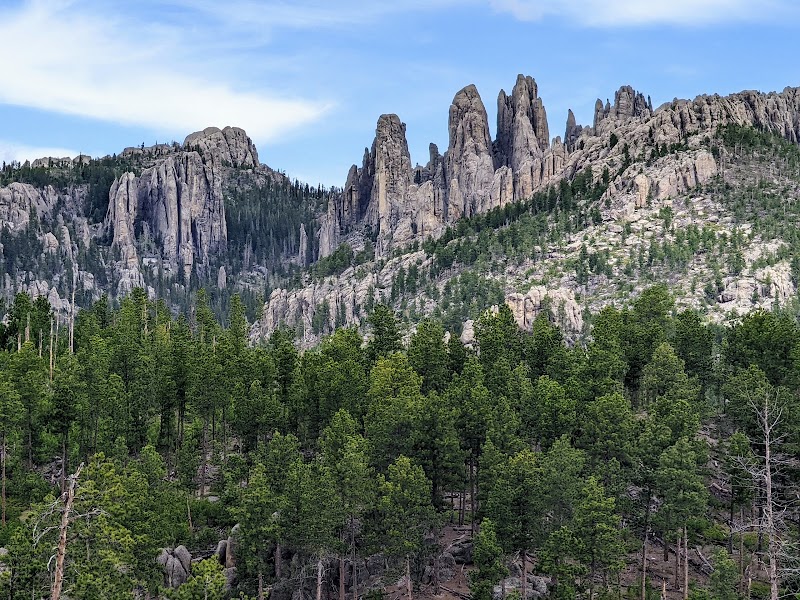 Nature’s Majesty: Black Hills National Forest - Black Hills National Forest