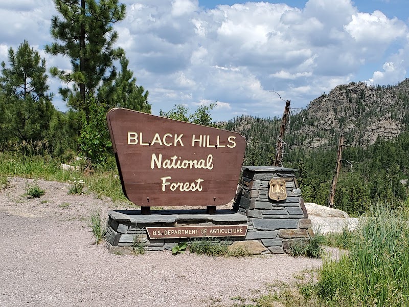 Nature’s Majesty: Black Hills National Forest - Black Hills National Forest
