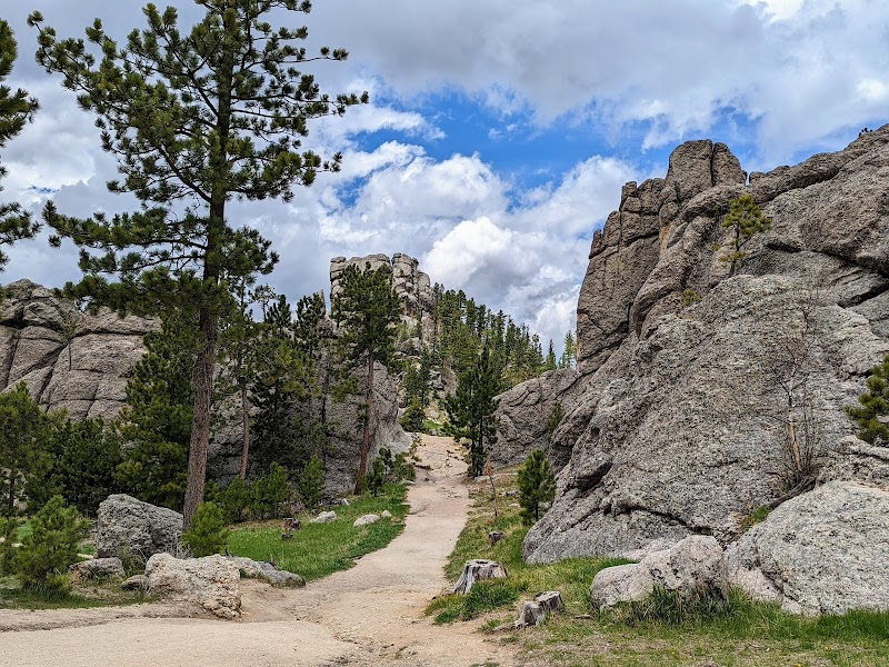 Nature’s Majesty: Black Hills National Forest - Black Hills National Forest